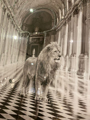 Lion Gallery Wall Art Mirror Frame