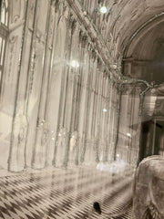 Lion Gallery Wall Art Mirror Frame