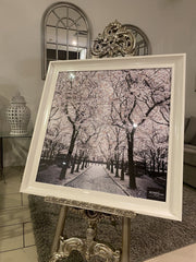 Pink Blossom Trees Walk Way Wall Art White Step Frame 85Cm X 85Cm