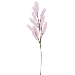 [EKM-AUTOGENERATED]Pink Foam Phoenix Tail Fern