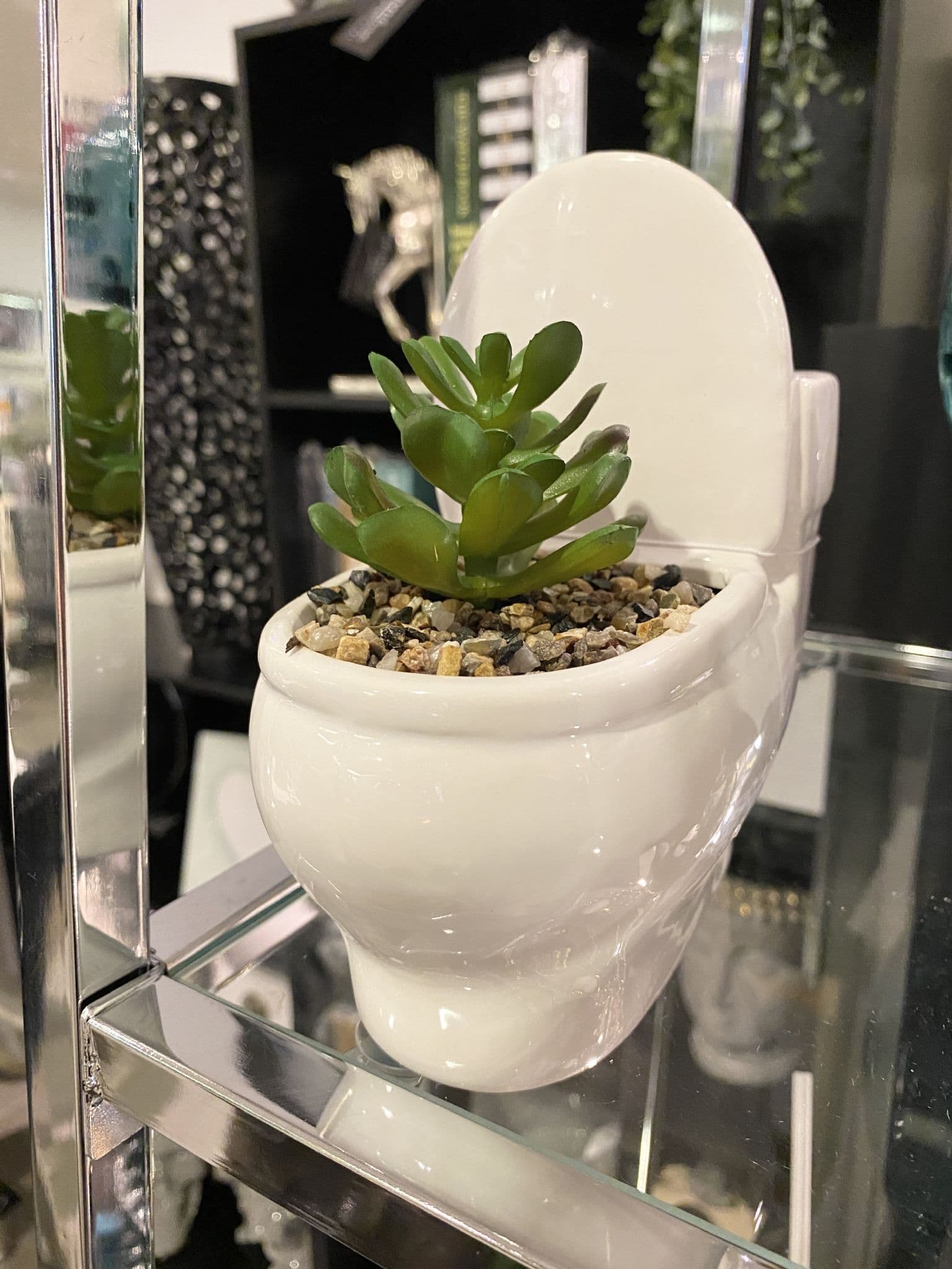 Set Of 3 Toilet Pot With Succulent Plant Décor