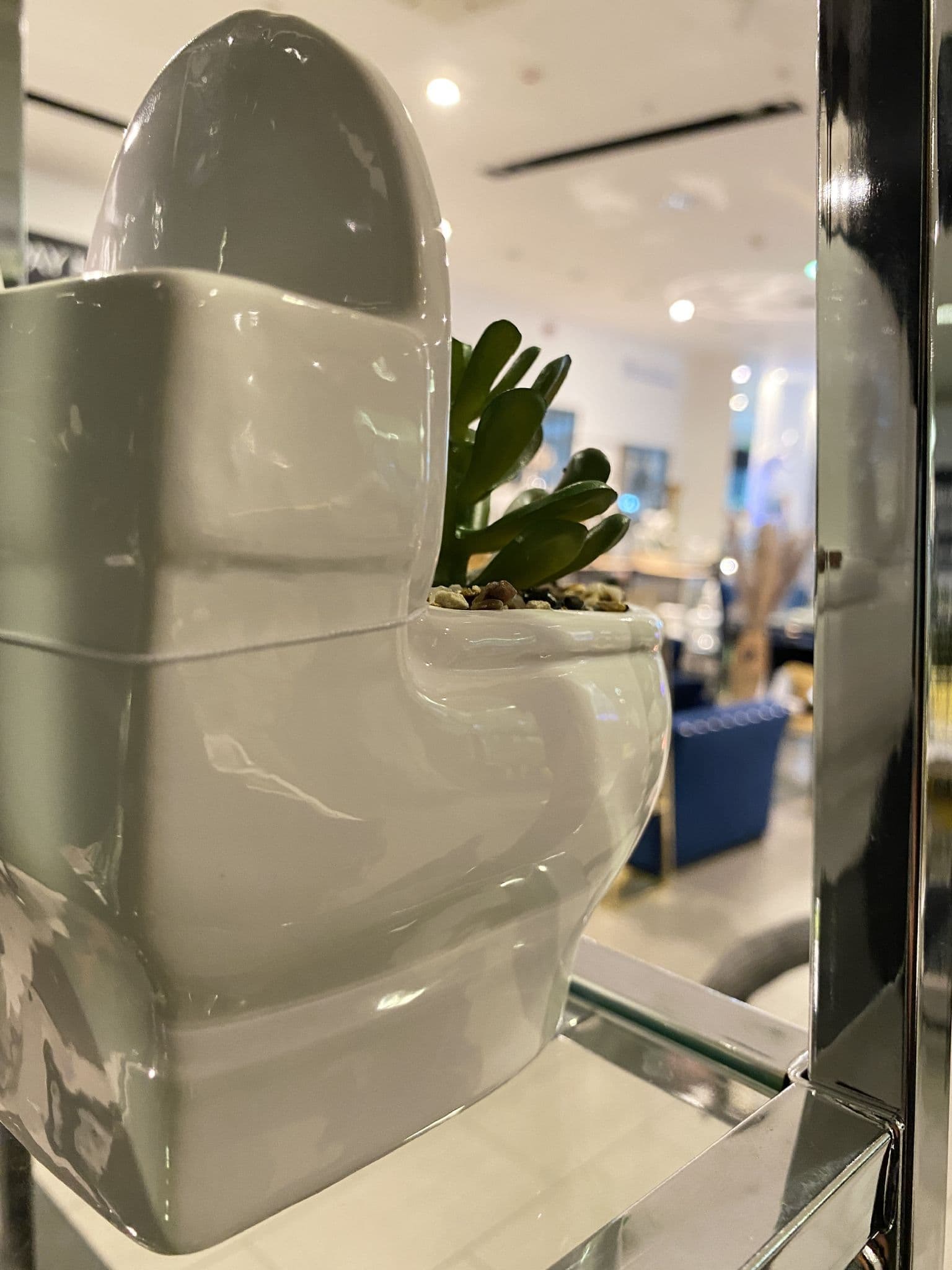 Set Of 3 Toilet Pot With Succulent Plant Décor