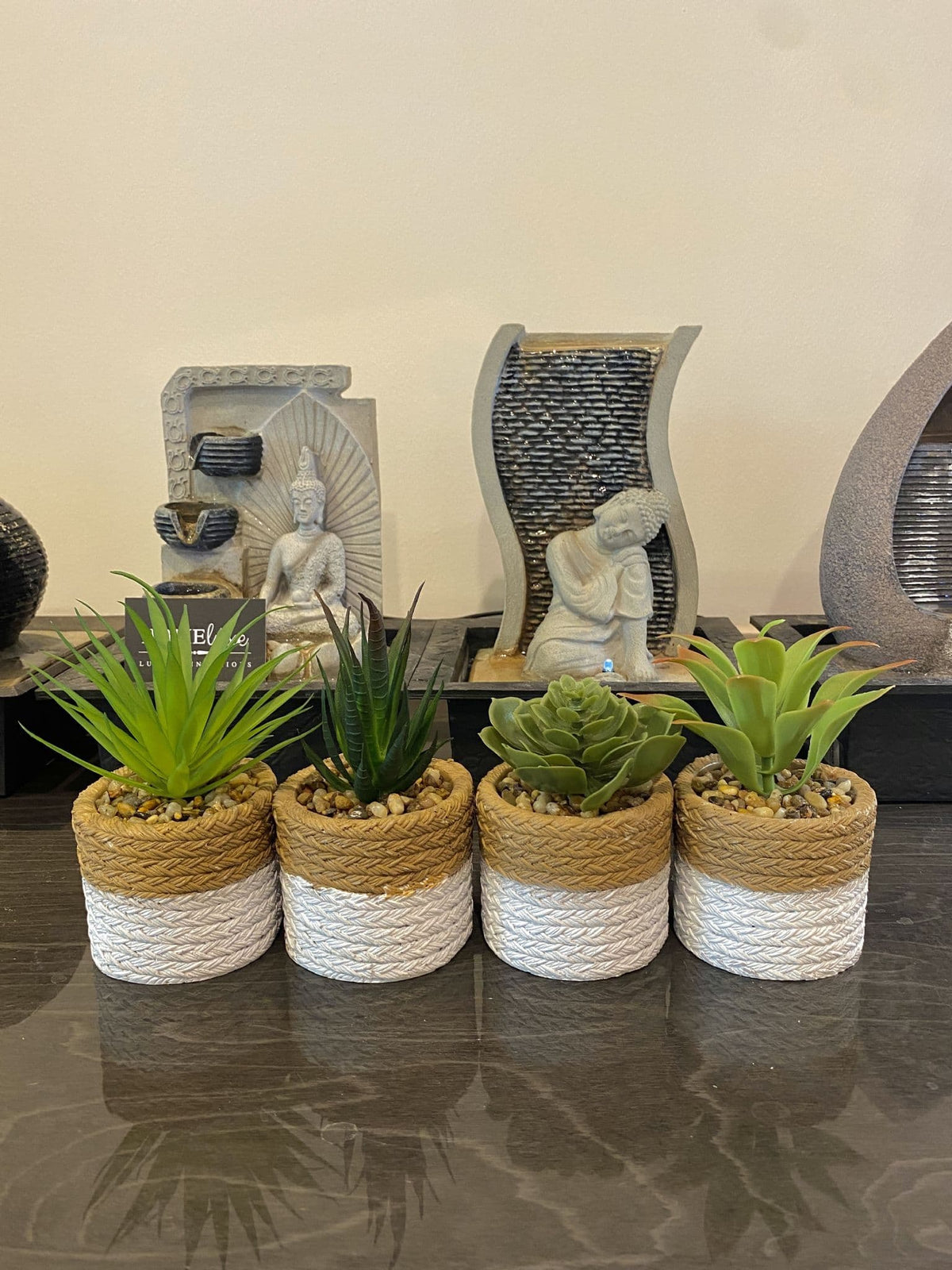 [EKM-AUTOGENERATED]Set Of 4 Succulent Plants In Clay Pots