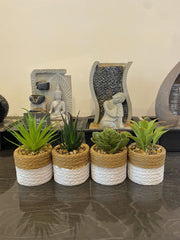 [EKM-AUTOGENERATED]Set Of 4 Succulent Plants In Clay Pots