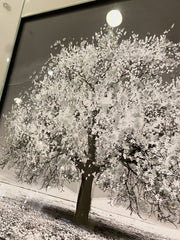 Silver Blossom Tree Glitter Wall Art Mirror Frame