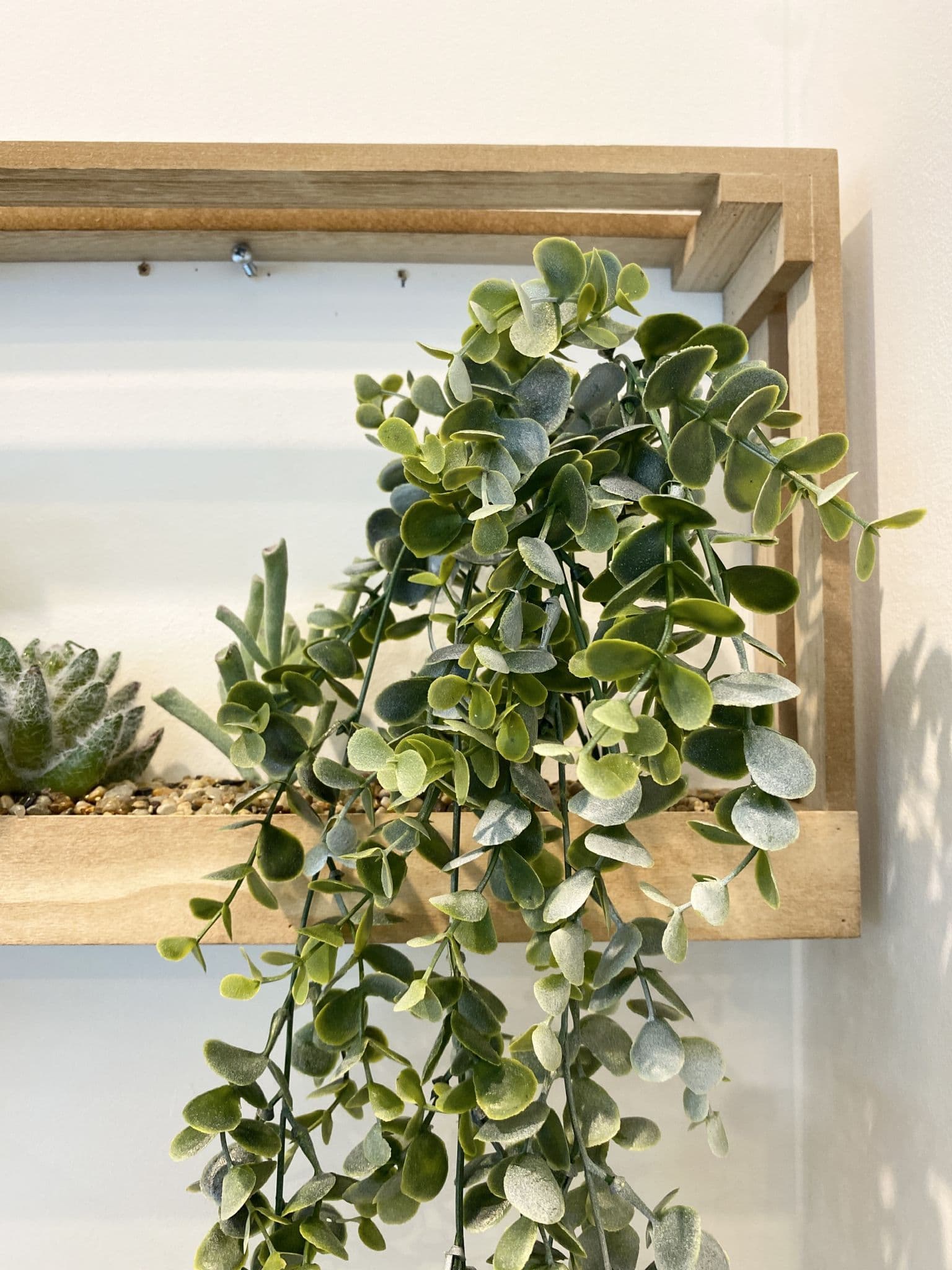 Succulent Wall Crate Garden Décor