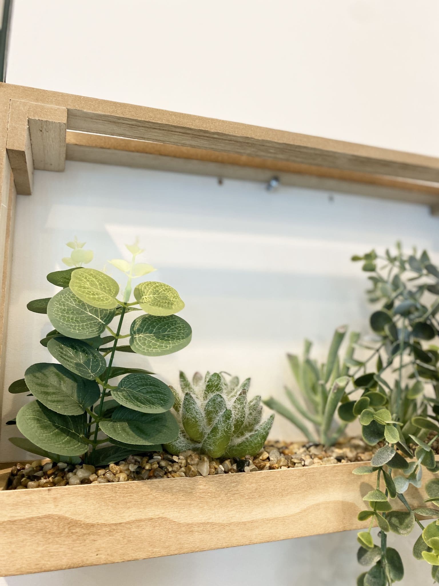 Succulent Wall Crate Garden Décor