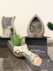 [EKM-AUTOGENERATED]Succulents Plants In Glass Bottle