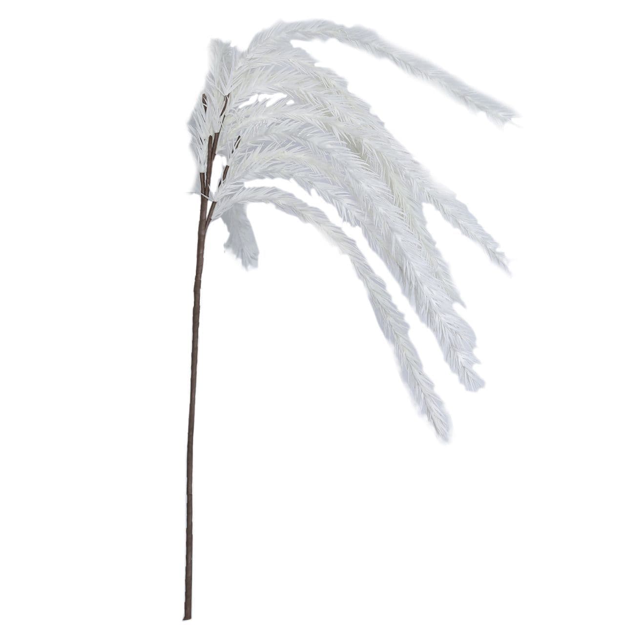 [EKM-AUTOGENERATED]White Foam Fish Tail Fern