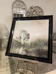 White Tiger Step Wall Art Black Step Frame 85Cm X 85Cm
